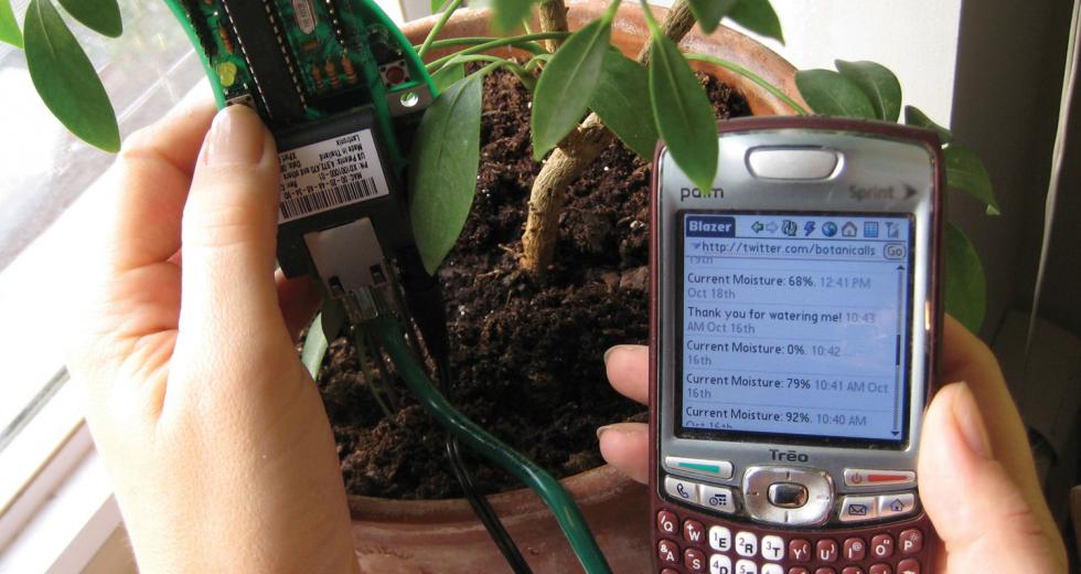 Botanicalls technology sends Twitter updates to users when plants need water.

(Photo courtesy of Botanicalls)