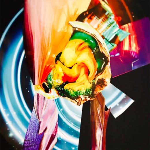 “Universe Next Door,” collage and digital print, 2017. (Photo courtesy Natalie McKeever)