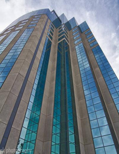 Daily winner: Phil Kemp Daily winner: Phil Kemp