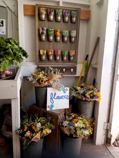 Soil Born Farms grows flowers for sale at its American River Ranch location in Rancho Cordova. (Photo by Cole Allen)