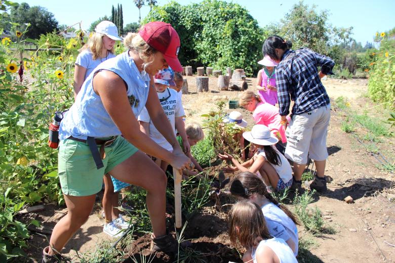 Soil Born Youth Education Coordinator Alyssa Kassner helps children dig out potatoes during a weeklong summer day camp at the nonprofit's American River Ranch location. (Photo by Sena Christian)
