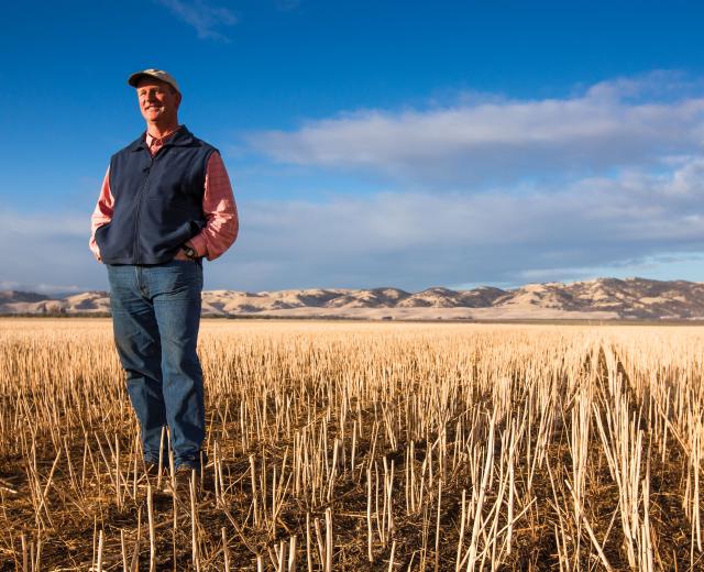 Yolo County's Fritz Durst has been using the no-till method for 20 years.   