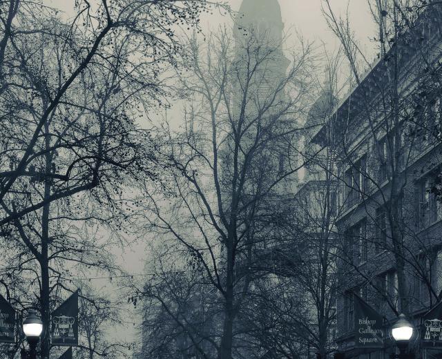 1st Place - Photo by Donald Saterlee"I love to photograph fogscapes because of their mystical, ethereal quality: Fog creates depth, obscuring distant objects through the deeper mist."