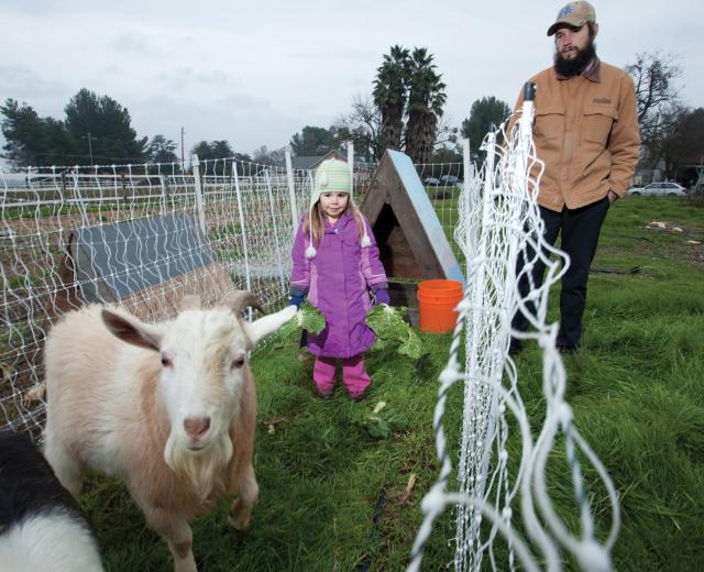 Urban farmer Dan Gannon maintains a half-acre plot in West Sacramento with help from 4-year-old daughter, Frankie.