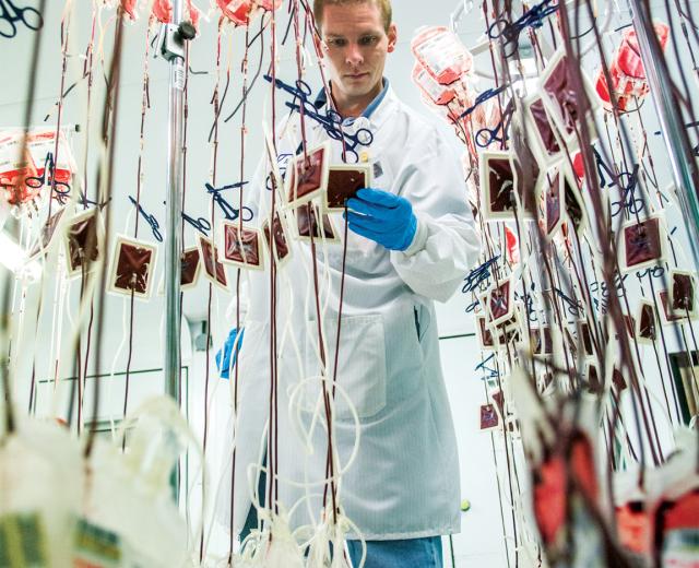In a refrigerated storage room at the BloodSource headquarters, lab technician Ian Martin processes a batch of blood collected from a recent blood drive. It’s a labor-intensive process that cannot be automated, and the blood bank processes more than 250,000 such units a year.