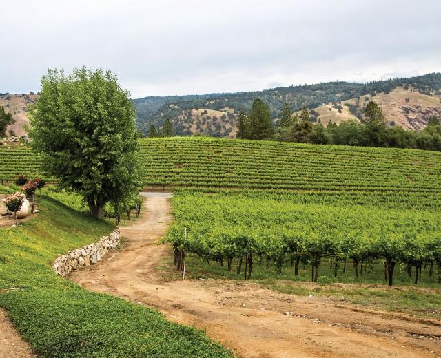 Gold Hill Winery in Placerville