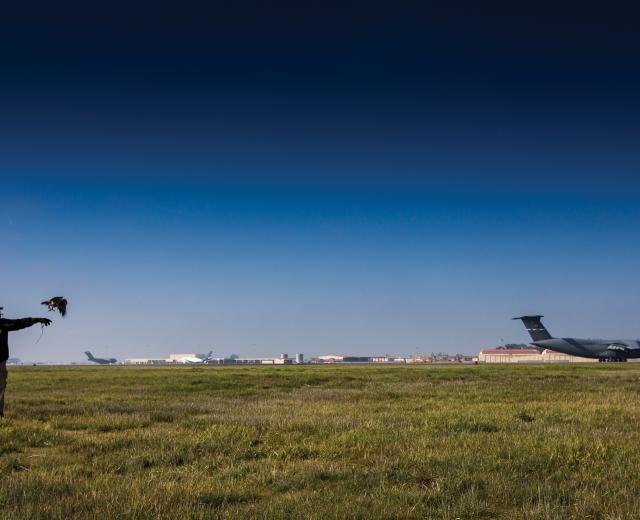 Travis Air Force Base, one of the U.S. military’s busiest passenger and cargo terminal airports, lies smack in the middle of the Pacific Flyway, a migratory path that sees 60 percent of the nation’s wintering waterfowl. “This is the worst place in the world you could ever put a military installation,” says Master Sgt. Aaron Trudeau. 