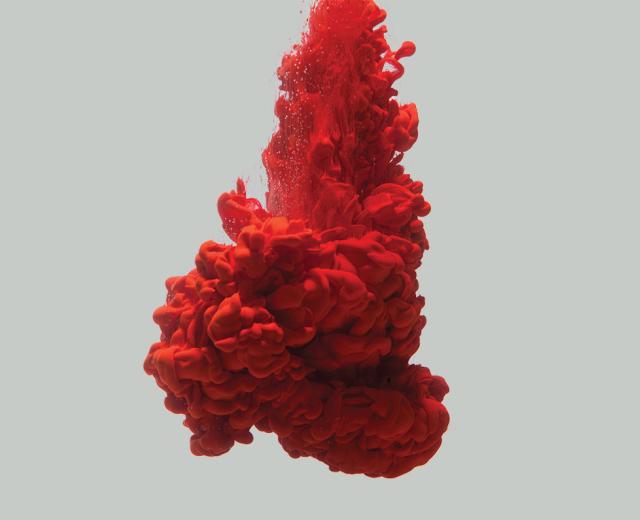 (Photo by Mike Graff)