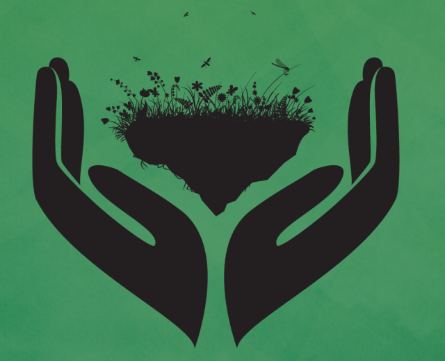 (Design by Sara Bogovich; elements from Shutterstock)