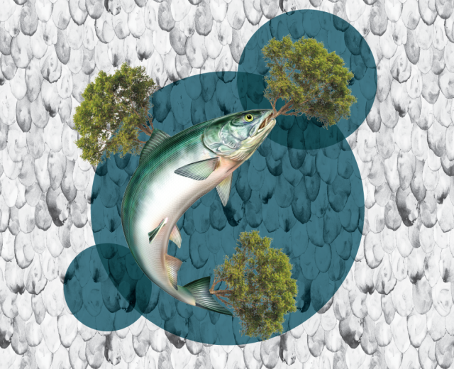 Design by Lily Therens; elements from Shutterstock