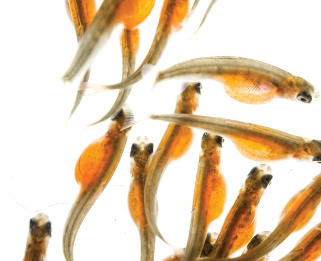 (Photo: Eiko James Photography)