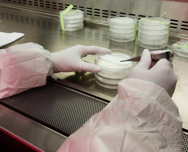 (Photo courtesy ViVita Technologies)