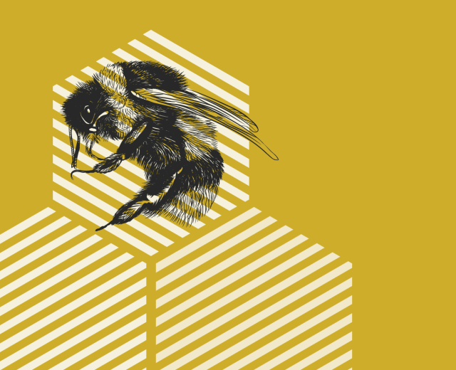 (graphic: Lily Therens)