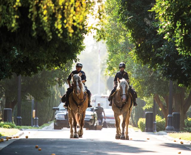 California Highway Patrol Officer Jeff Lane first wound up on horseback when his young son wanted to take riding lessons. “I was so scared, I took a gun,” he recalls. But Lane’s mind quickly changed, and “I actually left flying helicopters to ride horses,” he says.