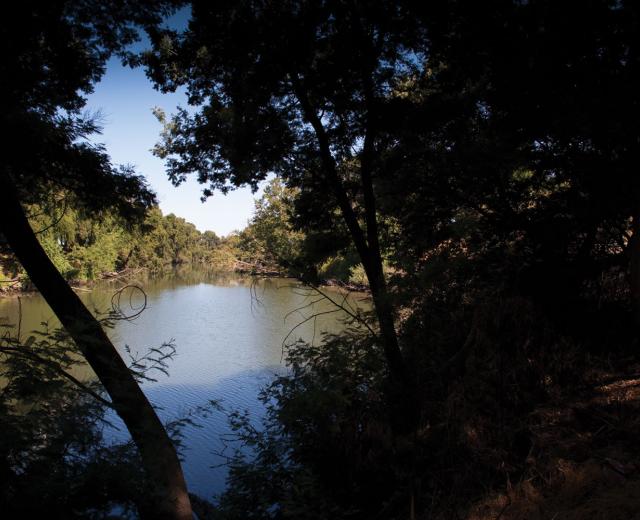 Elk Slough, near the Delta town of Clarksburg 