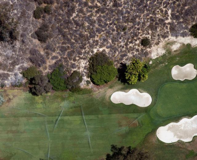 (image courtesy of Bloomberg News)