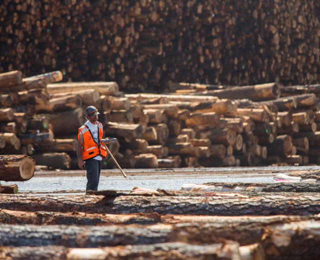 One of the largest wood-manufacturing companies in California, Sierra Pacific Industries started with a small sawmill on the North Coast. Founded by “Curly” Emmerson in 1979 and followed by his son “Red,” the company now employs approximately 3,800 people. 