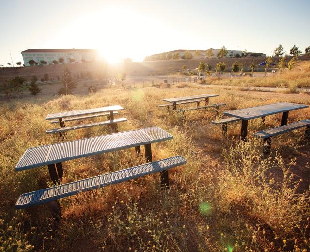 Power Inn Alliance, a coalition of business and property owners in the area, adopted maintenance of Granite Regional Park until the city can restore funding. 