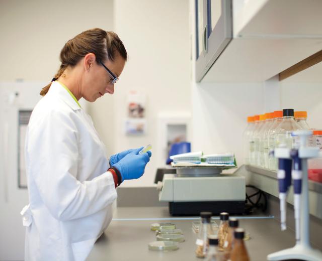 Novozymes Inc. is one of the largest private employers in Davis. 