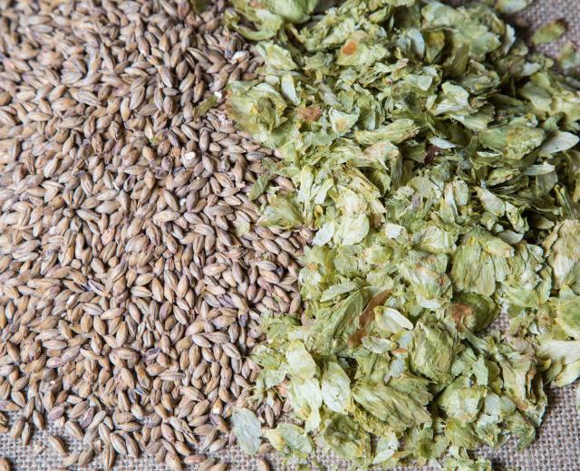 Summer hops and amber malt

(shutterstock)