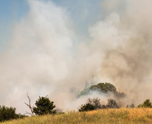 (Photo: Travis Mortz)