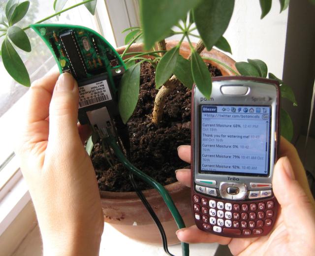 Botanicalls technology sends Twitter updates to users when plants need water.

(Photo courtesy of Botanicalls)