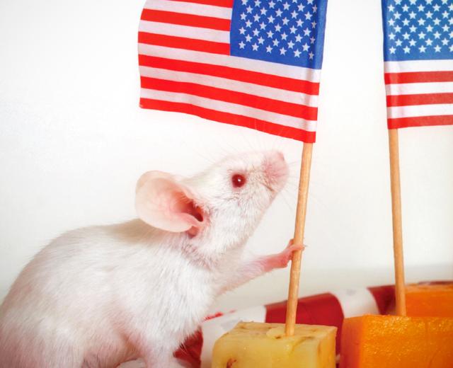 (Photo courtesy of iSTOCKPHOTO.COM)