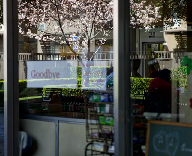 Photo: Steve Martarano