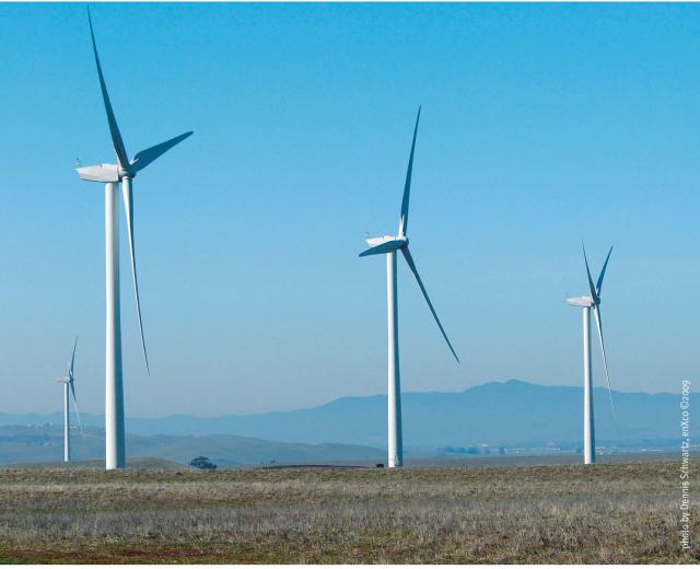 (Photo by Dennis Schwartz)