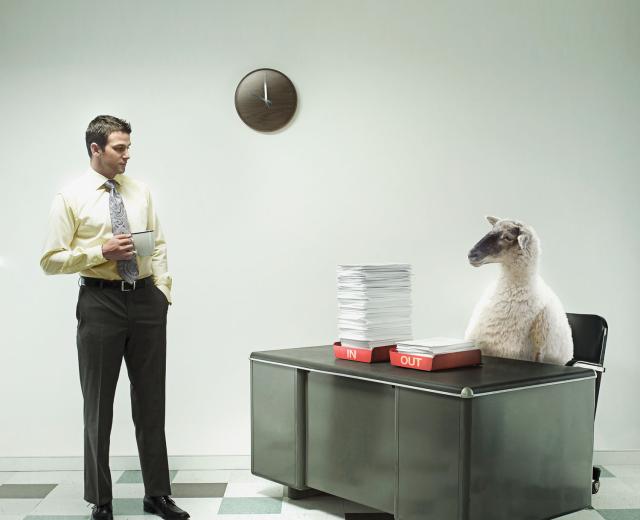 (Photo illustration: C.J. Burton)