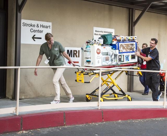 (Photo: Joan Cusick)