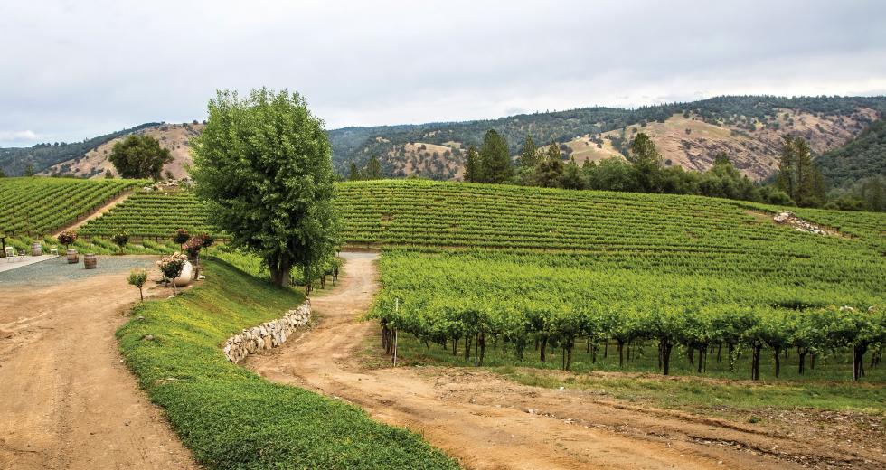 Gold Hill Winery in Placerville