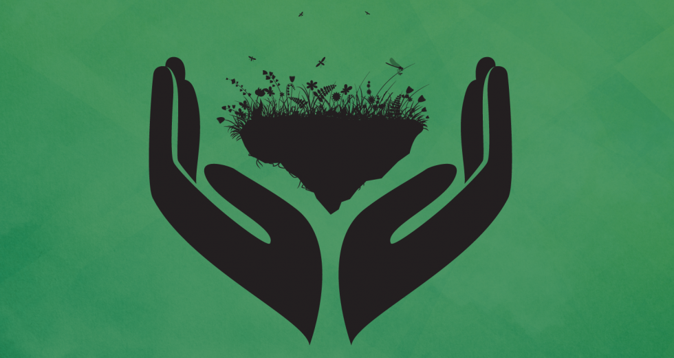 (Design by Sara Bogovich; elements from Shutterstock)