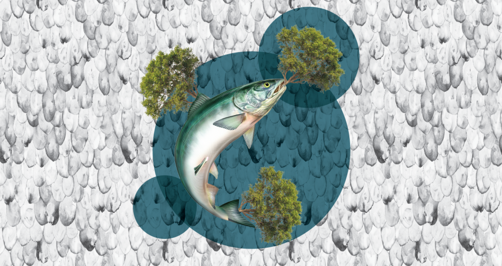 Design by Lily Therens; elements from Shutterstock