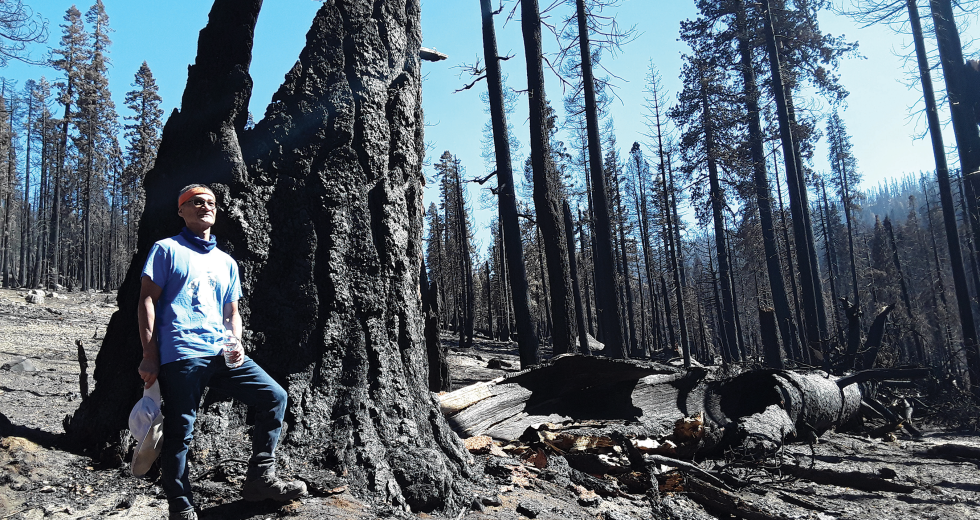A hiker stands next to the charred remains of a Jeffrey pine that was destroyed by the 2021 Caldor Fire. (Photo by William Wade (Bill) Keye)