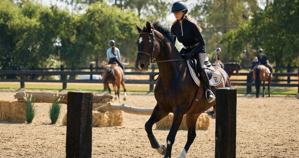 Aimee Hanson Benvenuti, co-owner and trainer at Riverbend Equestrian in Wilton, trains with one of her horses, a 12-year-old Dutch warmblood named Impression. Aimee runs the elite hunter/jumper training and boarding facility with her stepdaughter, Riley Benvenuti. (Photo by Fred Greaves)