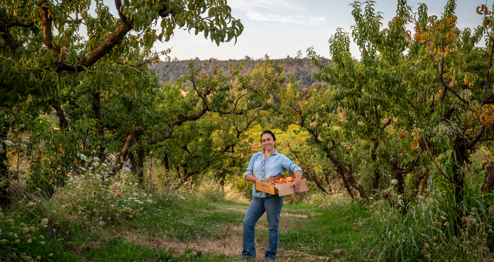 Camelia Enriquez is a fourth-generation farmer at Twin Peaks Orchards, which has been around since 1912. (Photos by Gabriel Teague)