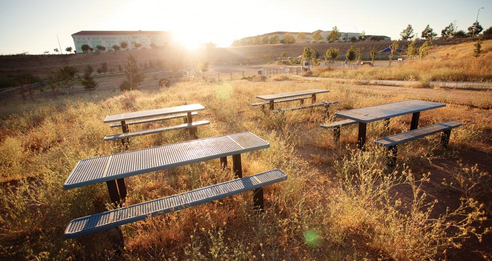 Power Inn Alliance, a coalition of business and property owners in the area, adopted maintenance of Granite Regional Park until the city can restore funding. 