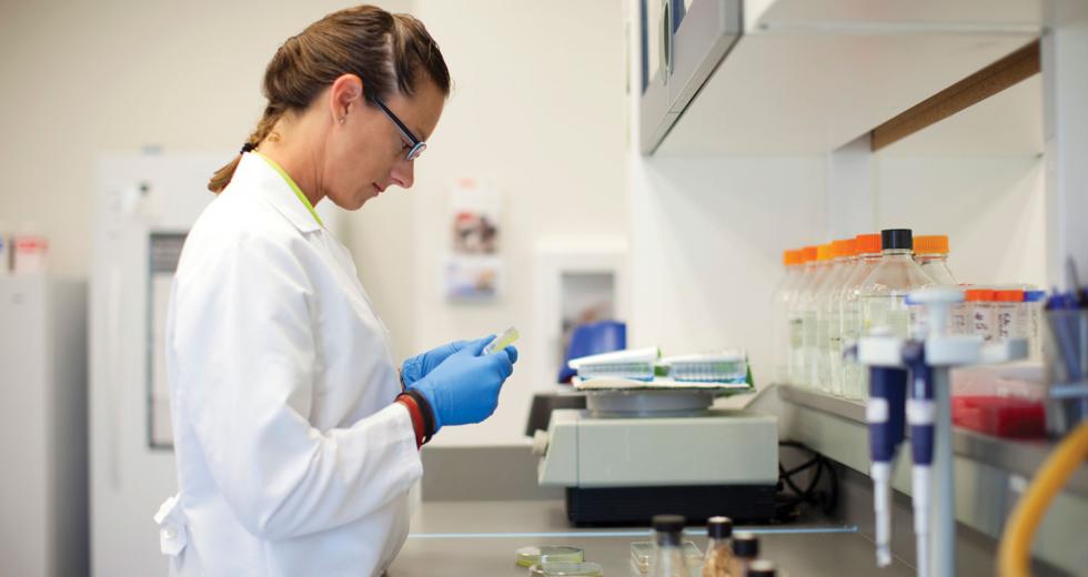 Novozymes Inc. is one of the largest private employers in Davis. 