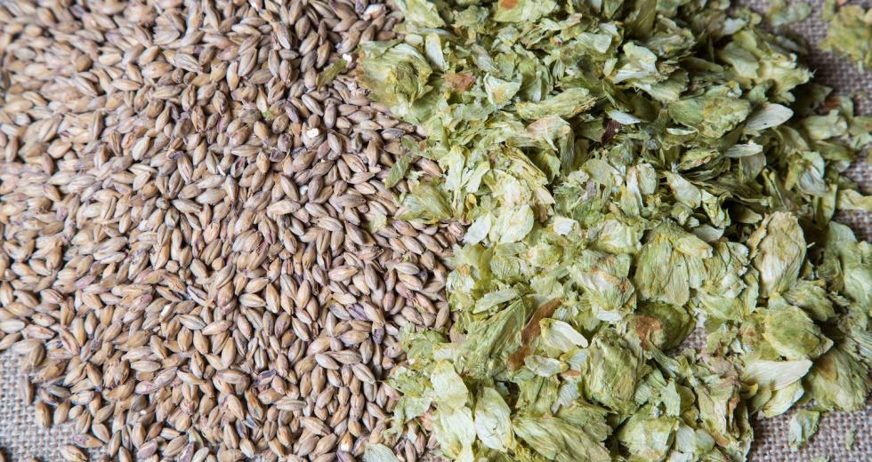 Summer hops and amber malt

(shutterstock)