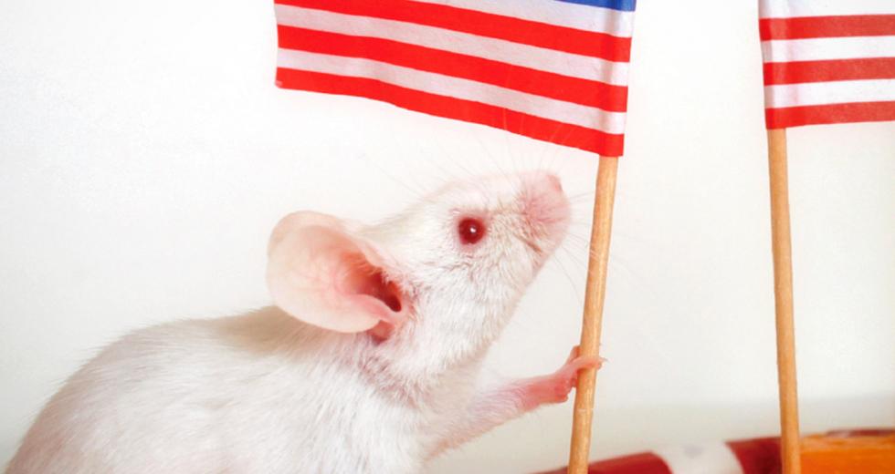 (Photo courtesy of iSTOCKPHOTO.COM)