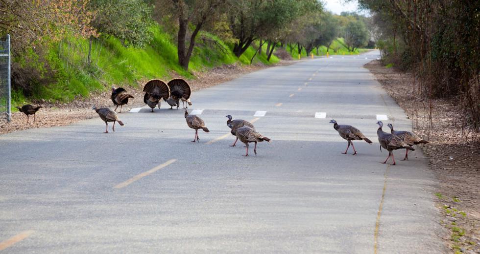 (Shutterstock photo)