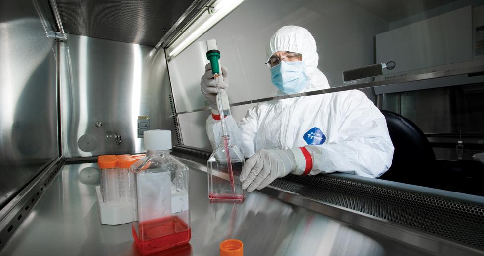 Dr. Gerhard Bauer designed and heads the Good Manufacturing Practice Lab. 