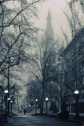 1st Place - Photo by Donald Saterlee"I love to photograph fogscapes because of their mystical, ethereal quality: Fog creates depth, obscuring distant objects through the deeper mist."