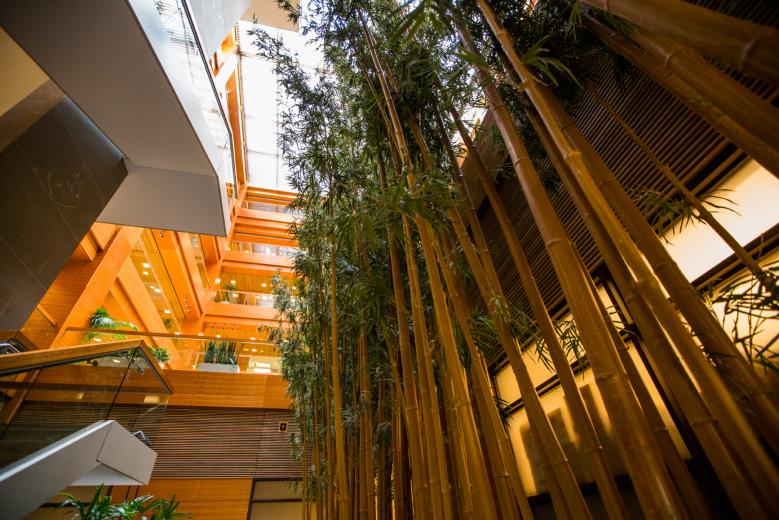 An urban oasis in the heart of downtown Sacramento, the CalPERS headquarters offers its employees numerous indoor and outdoor spaces, including quiet, secluded gardens and multiple rooftop courtyards lined with bamboo and drought-tolerant, native grasses.  An urban oasis in the heart of downtown Sacramento, the CalPERS headquarters offers its employees numerous indoor and outdoor spaces, including quiet, secluded gardens and multiple rooftop courtyards lined with bamboo and drought-tolerant, native grasses.