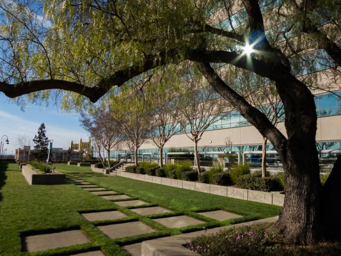 The spacious, modern garden overlooking Tower Bridge has played host to small weddings and corporate gatherings and offers panoramic views of the city and space for ample seating bordered by ornamental grasses and mature crepe myrtles. The spacious, modern garden overlooking Tower Bridge has played host to small weddings and corporate gatherings and offers panoramic views of the city and space for ample seating bordered by ornamental grasses and mature crepe myrtles.