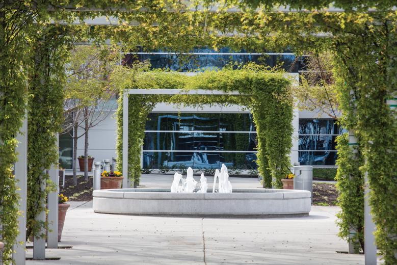 About two years ago, the team at Sacramento-based Carson Landscape Industries overhauled nearly 10,000-square-feet outside the entrances to 3 office buildings on Creekside Oaks Drive in Natomas. The original landscape materials, selected by a Bay Area designer, were suited for a cooler, coastal climate, and the plants failed to thrive in the Northern California heat.  About two years ago, the team at Sacramento-based Carson Landscape Industries overhauled nearly 10,000-square-feet outside the entrances to 3 office buildings on Creekside Oaks Drive in Natomas. The original landscape materials, selected by a Bay Area designer, were suited for a cooler, coastal climate, and the plants failed to thrive in the Northern California heat.