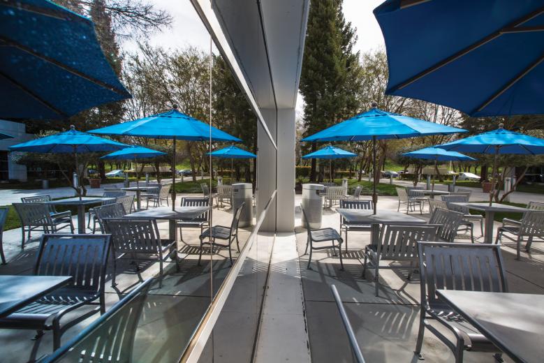 Under the guidance of property manager Laurie Melson, Carson Landscape selected yellow-blade flax, variegated tinkerbell agapanthus, vinca minor and an assortment of other evergreens that would provide continuous color for the office complex.  Under the guidance of property manager Laurie Melson, Carson Landscape selected yellow-blade flax, variegated tinkerbell agapanthus, vinca minor and an assortment of other evergreens that would provide continuous color for the office complex.