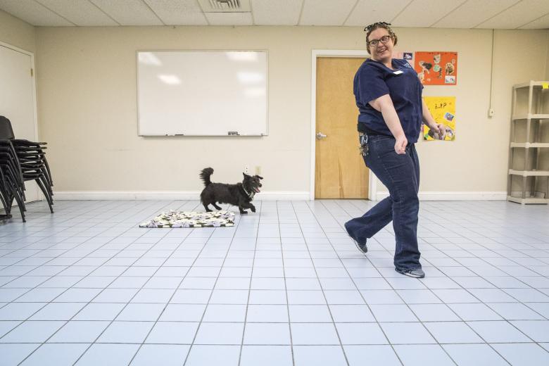 Does the dog curiously sniff the doll, or stiffen up and approach it like prey? “One husky accidentally took the head off and then ran around with it, but it was OK because at that point it was a toy,” says Oliver, who conducts an assessment of every dog and cat that enters the Roseville shelter to ensure they are safe around other animals, children and the general public.