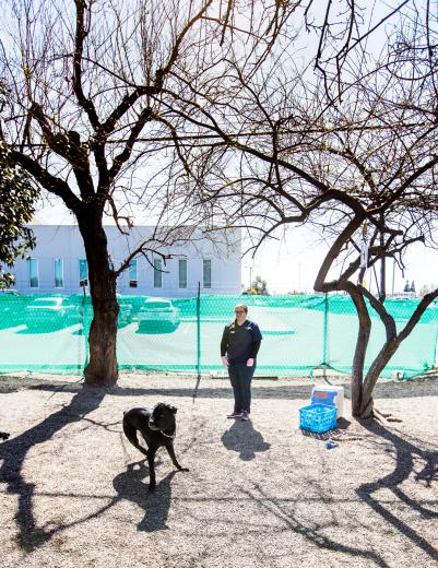 We take them on field trips out of the shelter like to Home Depot and the pet store to get them more experienced outside, or on a nice walk along the bike trail to see nature,” Oliver says. The hardest part is having to say goodbye to animals she has grown attached to, although it’s also a proud time. Fortunately, many owners who adopt from the Placer SPCA will send holiday cards and emails with updates on their new pets, which Oliver appreciates. “They know how much they were loved here.”